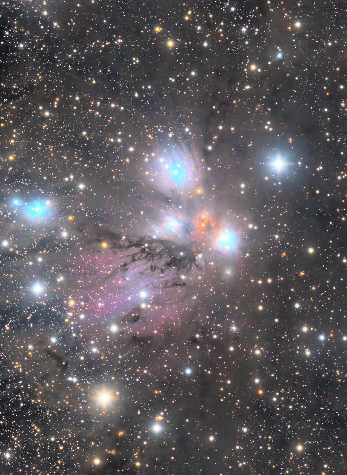 NGC 2170 反射星云